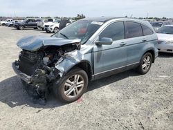 Honda salvage cars for sale: 2010 Honda CR-V EXL