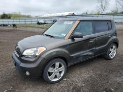 KIA salvage cars for sale: 2010 KIA Soul +