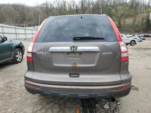 2010 Honda CR-V EX