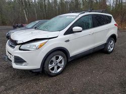 Ford Escape Vehiculos salvage en venta: 2015 Ford Escape SE