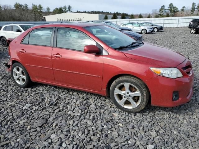 2011 Toyota Corolla Base