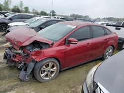 Ford Focus salvage cars for sale: 2014 Ford Focus SE