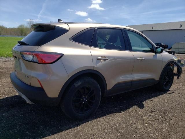 2020 Ford Escape SE Sport