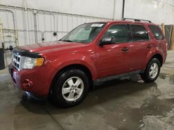 Ford Vehiculos salvage en venta: 2012 Ford Escape XLT