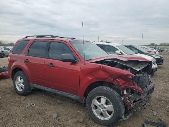 2012 Ford Escape XLT