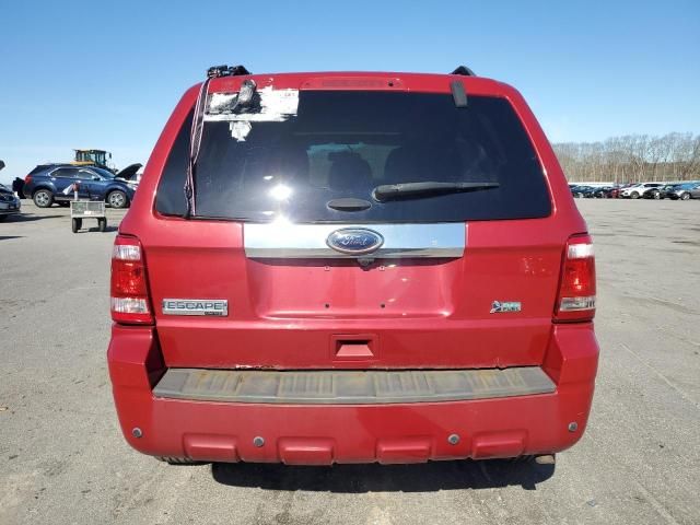 2011 Ford Escape Limited