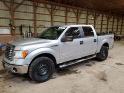 Salvage cars for sale from Copart London, ON: 2011 Ford F150 Supercrew