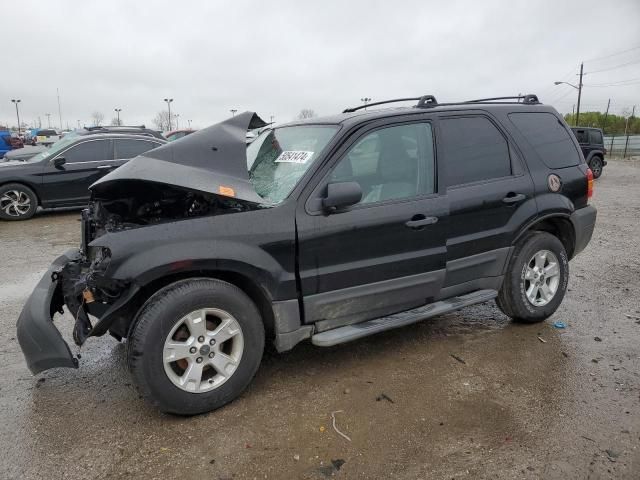 2007 Ford Escape XLT