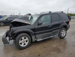 2007 Ford Escape XLT for sale in Indianapolis, IN