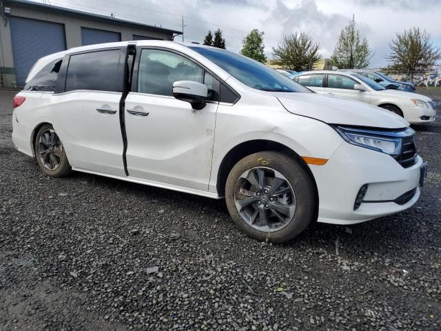 2024 Honda Odyssey Elite