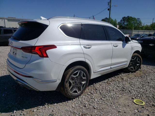 2021 Hyundai Santa FE Calligraphy