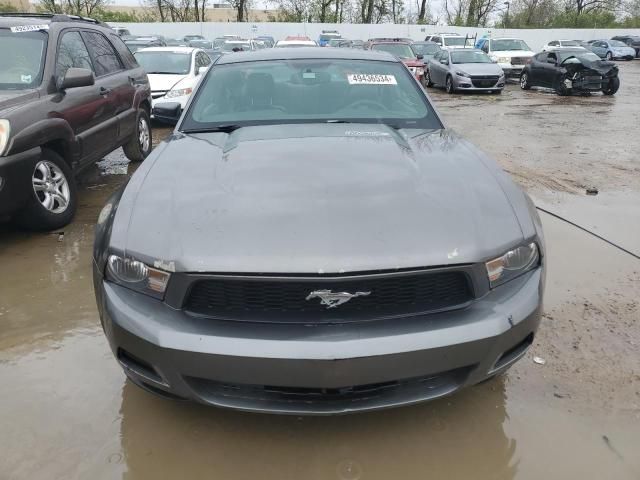 2010 Ford Mustang