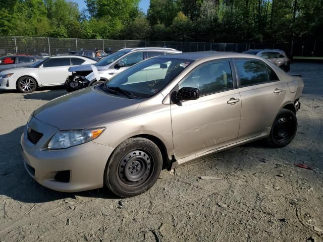 2009 Toyota Corolla Base