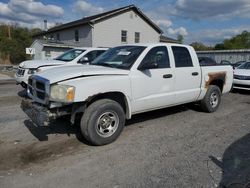 Salvage cars for sale from Copart York Haven, PA: 2006 Dodge Dakota Quattro