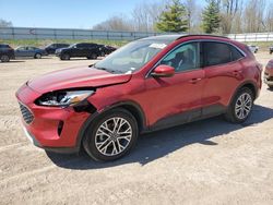 2021 Ford Escape SEL for sale in Davison, MI