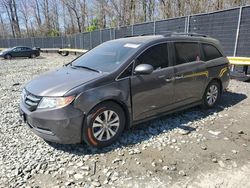 Honda Vehiculos salvage en venta: 2016 Honda Odyssey EXL