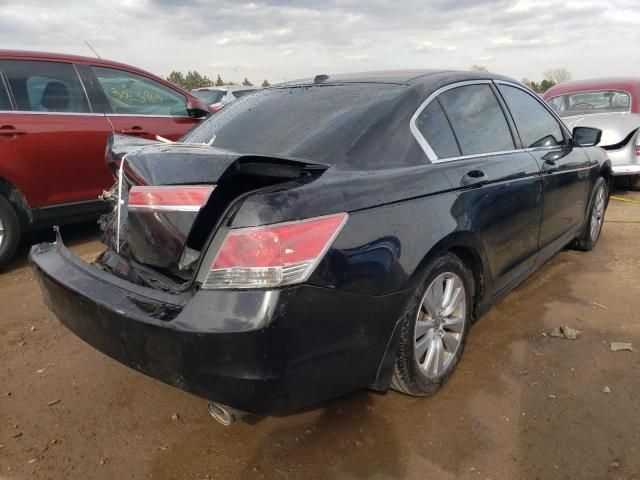 2011 Honda Accord EXL