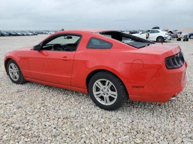 2013 Ford Mustang