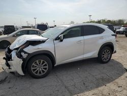 2019 Lexus NX 300 Base for sale in Indianapolis, IN