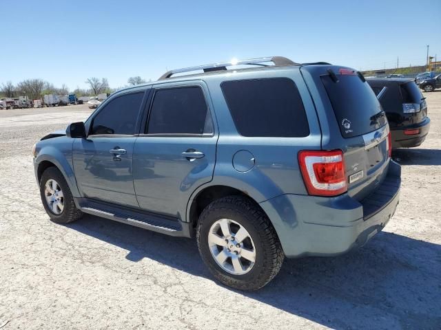 2011 Ford Escape Limited