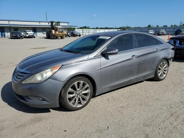 2011 Hyundai Sonata SE