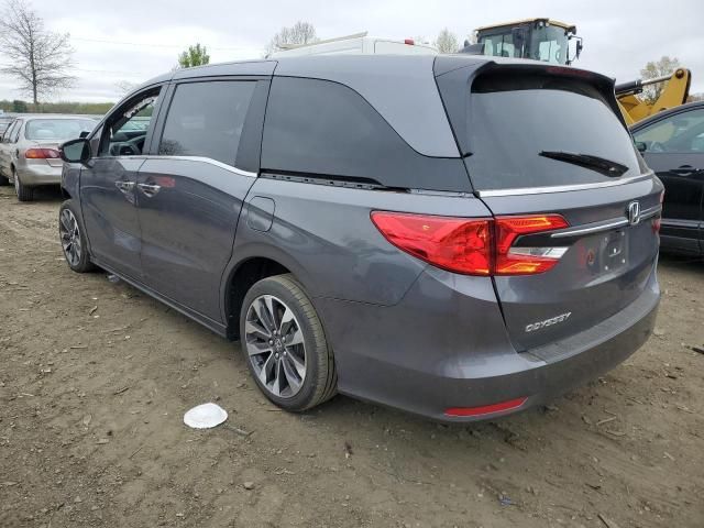 2024 Honda Odyssey EXL