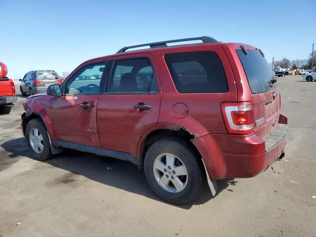 2012 Ford Escape XLT