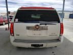 2010 Cadillac Escalade Luxury