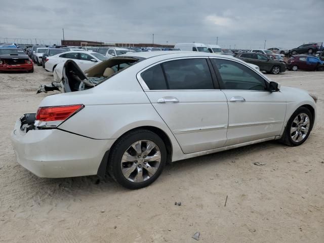 2010 Honda Accord EXL