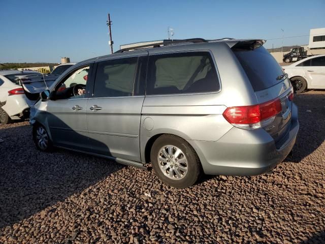 2010 Honda Odyssey EXL