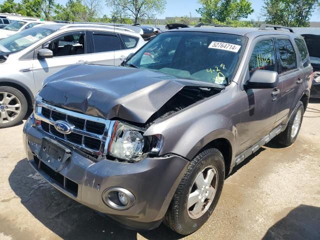 2011 Ford Escape XLT