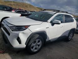 Salvage cars for sale from Copart Littleton, CO: 2019 Toyota Rav4 XLE