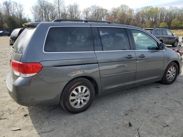 2008 Honda Odyssey EXL