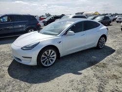 2019 Tesla Model 3 for sale in Antelope, CA