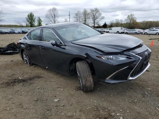 2024 Lexus ES 300H Base