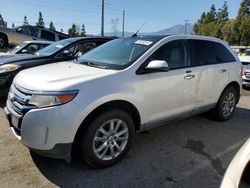 Vehiculos salvage en venta de Copart Rancho Cucamonga, CA: 2011 Ford Edge SEL