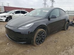 2023 Tesla Model Y en venta en Elgin, IL