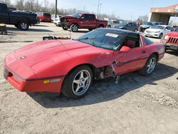 Chevrolet Corvette Vehiculos salvage en venta: 1984 Chevrolet Corvette