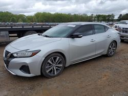 Nissan salvage cars for sale: 2020 Nissan Maxima SL