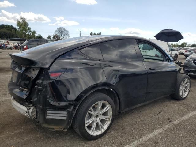 2020 Tesla Model Y