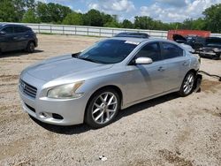 Nissan Maxima S salvage cars for sale: 2009 Nissan Maxima S