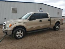 2013 Ford F150 Supercrew for sale in Mercedes, TX