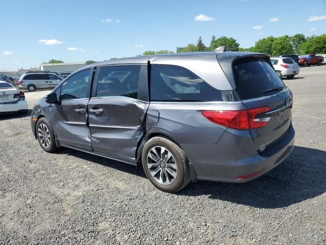 2024 Honda Odyssey EXL