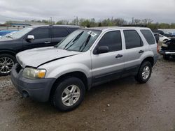 2007 Ford Escape XLS for sale in Louisville, KY