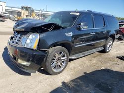 Cadillac Escalade salvage cars for sale: 2007 Cadillac Escalade ESV