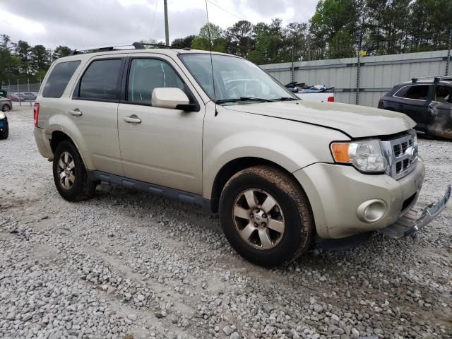 2010 Ford Escape Limited