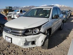 Volkswagen Tiguan salvage cars for sale: 2014 Volkswagen Tiguan S