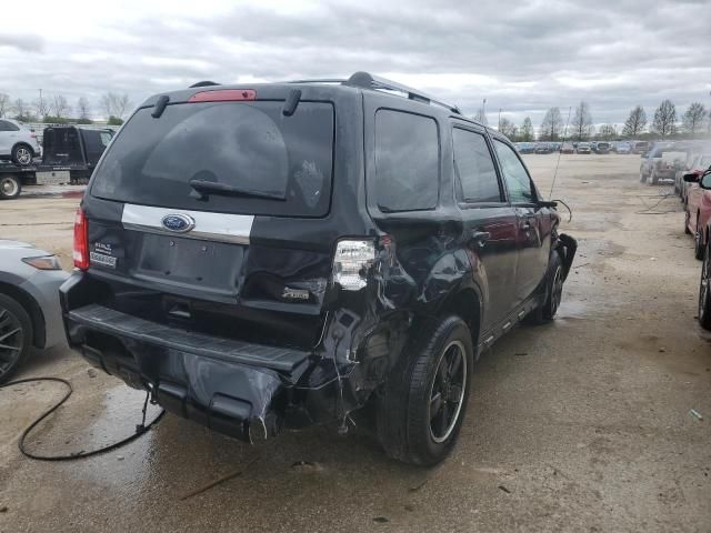 2010 Ford Escape Limited