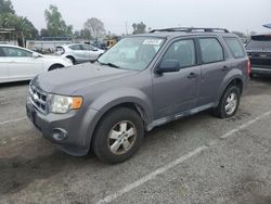 2010 Ford Escape XLS for sale in Van Nuys, CA