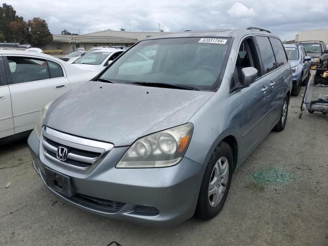 2007 Honda Odyssey EXL